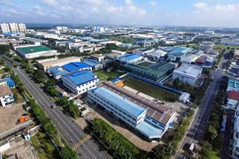 Plenty of room for real estate market to develop: Experts
