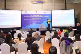 UN official suggests Vietnam ensure gender perspectives in digital policies