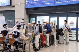 IOM pledges close cooperation with Vietnam to support migrant workers