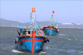 Fishing vessels in Phu Yen toe the line, avoid illegal fishing in foreign waters