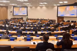 Vietnam attends annual meeting of special committee on UN Charter