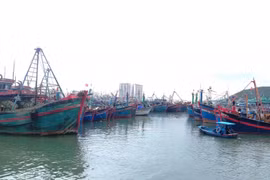 Khanh Hoa takes drastic measures against IUU fishing