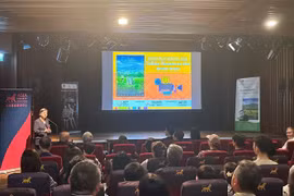 Two Vietnamese films compete in first ASEAN Film Festival in Hong Kong