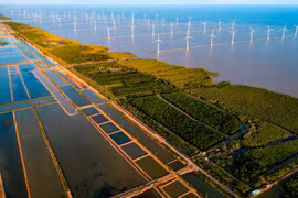 Vietnam stepping up int'l cooperation in climate change response