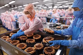 Ca Mau province to host first-ever shrimp festival