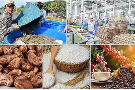 Agro-forestry-aquatic product exports drop 11% in five months