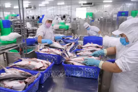 Fishery exports dwindle in first four months