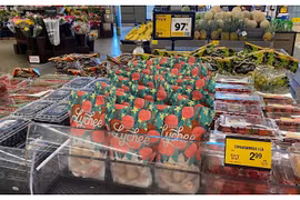 Vietnamese fruits conquering US market