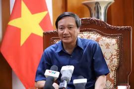 Vietnam plays active part in Mekong River Commission: ambassador