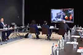 Binh Dinh introduces economic, trade potential to Belgian businesses