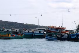 Kien Giang redoubles efforts against IUU fishing