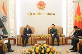 Vietnam, India boost defence collaboration