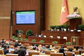 Parliament approves extension of VAT cut until year's end
