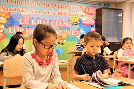 Efforts to promote Vietnamese language in Vietnamese communities abroad