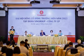 Vingroup sets record revenue this year
