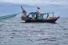 Quang Ninh to seize vessels involved in illegal fishing from September