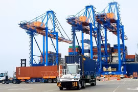 Domestic firms enjoy great opportunities from FTAs: Experts