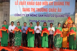 First batch of Quang Tri organic rice exported to EU