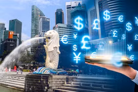 Ample room remains for Vietnam-Singapore cooperation in digital economy: expert