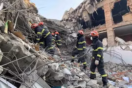 Vietnamese embassies in Turkey, Syria well perform citizen protection