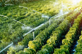 Science, technology enable agriculture to make breakthrough