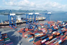 Vietnam needs 13.3 billion USD to develop seaports