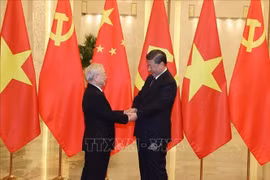 Vietnam a model for developing countries: Cuban diplomat