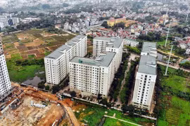 Central bank not tighten real estate credit: Deputy Governor