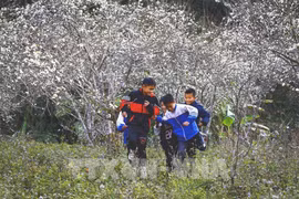 Vietnam promotes tourism to ASEAN market