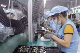 Vietnam still “an FDI darling”: Singaporean bank 