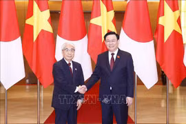 President of Japan’s House of Councillors concludes Vietnam visit