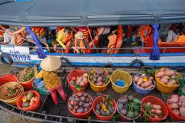Vietnam’s tourism promoted at Canada’s Travel and Vacation Show