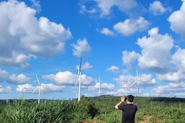 Carbon market development key to green transition