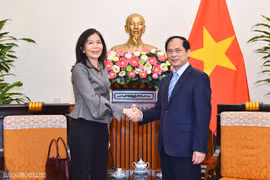 Vietnam calls for UN organisations’ cooperation in priortised areas: FM
