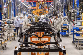National economy bouncing back: experts