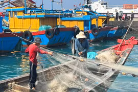 Kien Giang earns 1.2 billion USD from aquatic products export in 10 months