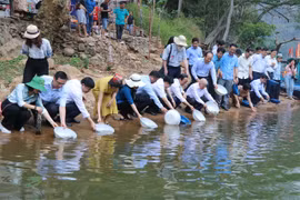 International Day for Biodiversity: Conservation for sustainable development