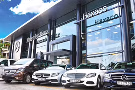 Auto stocks expect good prospects on supportive policies
