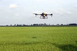 WB-funded agriculture project benefits 29,000 farmer households in Soc Trang