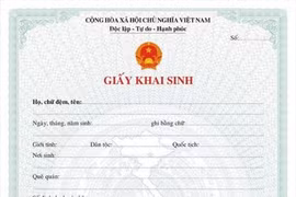 HCM City to pilot issuance of electronic civil status records