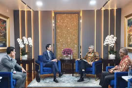 Vietnamese, Indonesian foreign ministries forge cooperation