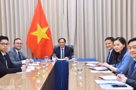 Vietnam, Mozambique step up multifaceted cooperation
