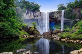 Great efforts to preserve and sustainably develop biosphere reserves