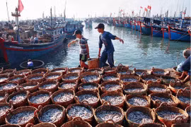 Over 9 trillion VND needed for protection and exploitation of aquatic resources