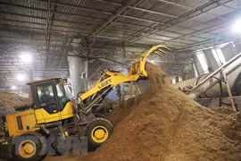 Ample room to fuel exports with wood pellets 