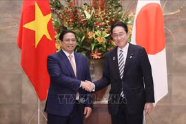 Vietnamese, Japanese PMs hold talks in Tokyo