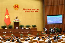 NA approves several laws on 19th working day of 5th session