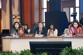 Vietnam puts forth recommendations at APPF-31