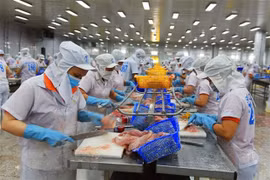 Domestic firms eye increasing trade with Mexican market