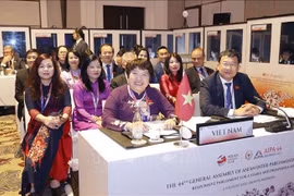 Vietnam contributes to completing draft documents at AIPA meetings 